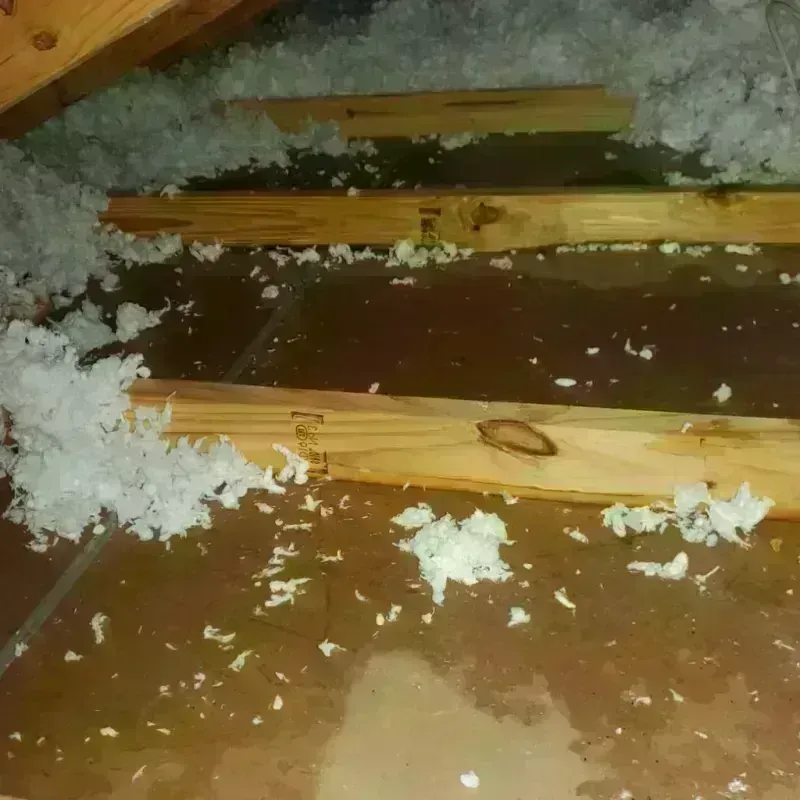 Attic Water Damage in Hadley, NY